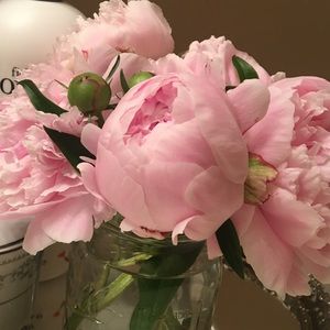 Meet your Posher, Mandy